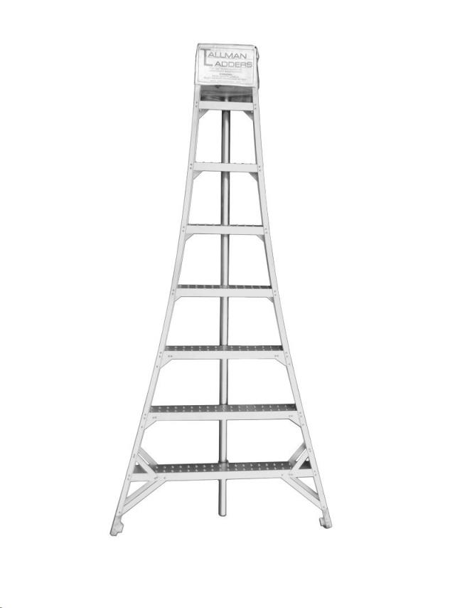 Where to find ladder orchard 16 foot in Seattle