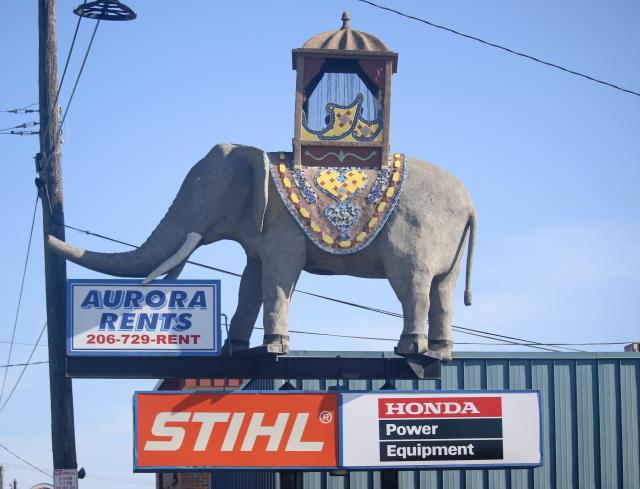 Rental store for the greenlake elephant in Seattle, Shoreline WA, Greenlake WA, Lake City WA, Greater Seattle metro